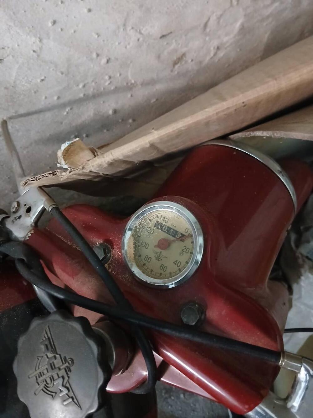 Rumi Turismo 1  (14)