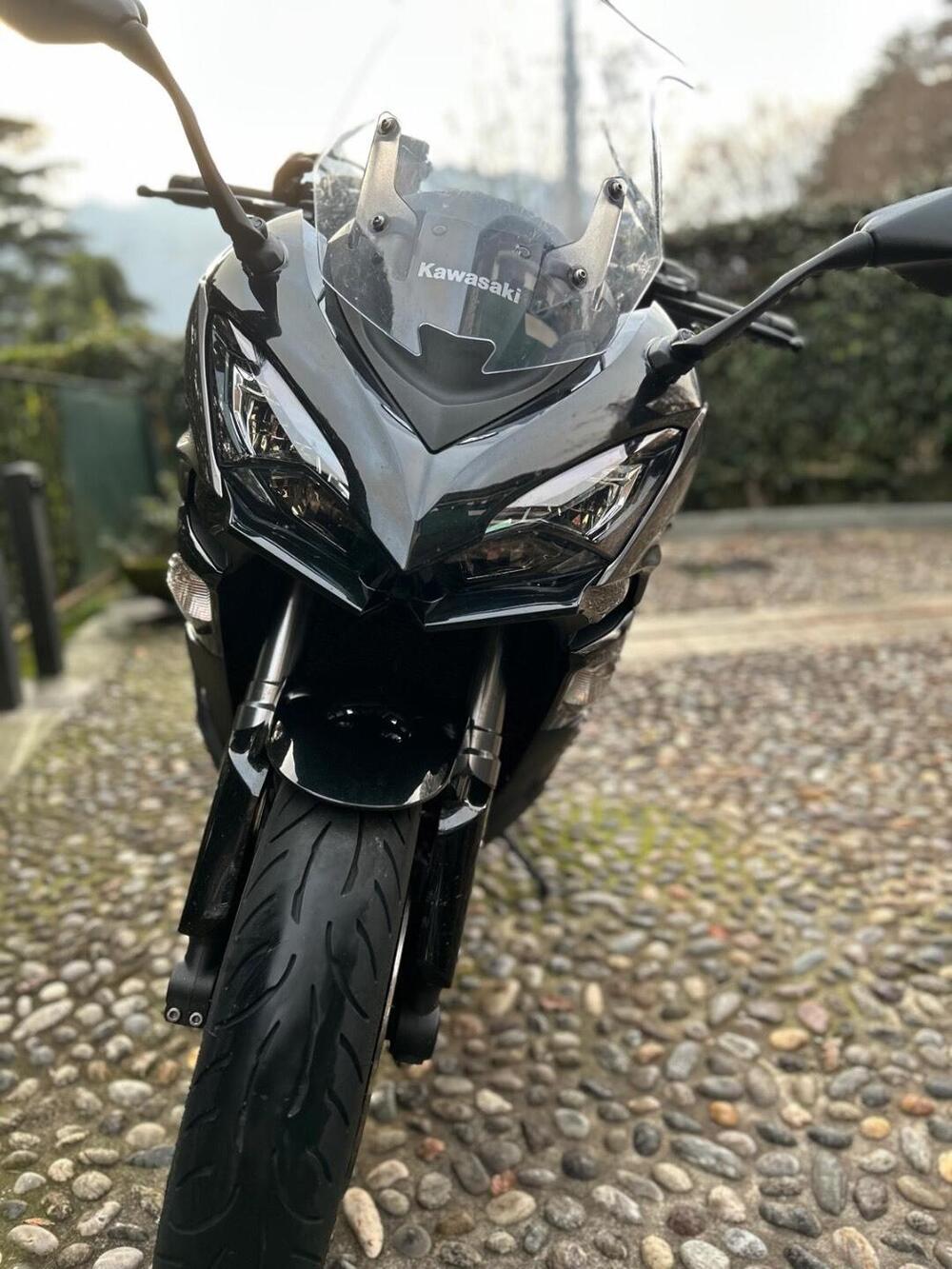 Kawasaki Z 1000 SX (2017 - 20) (13)