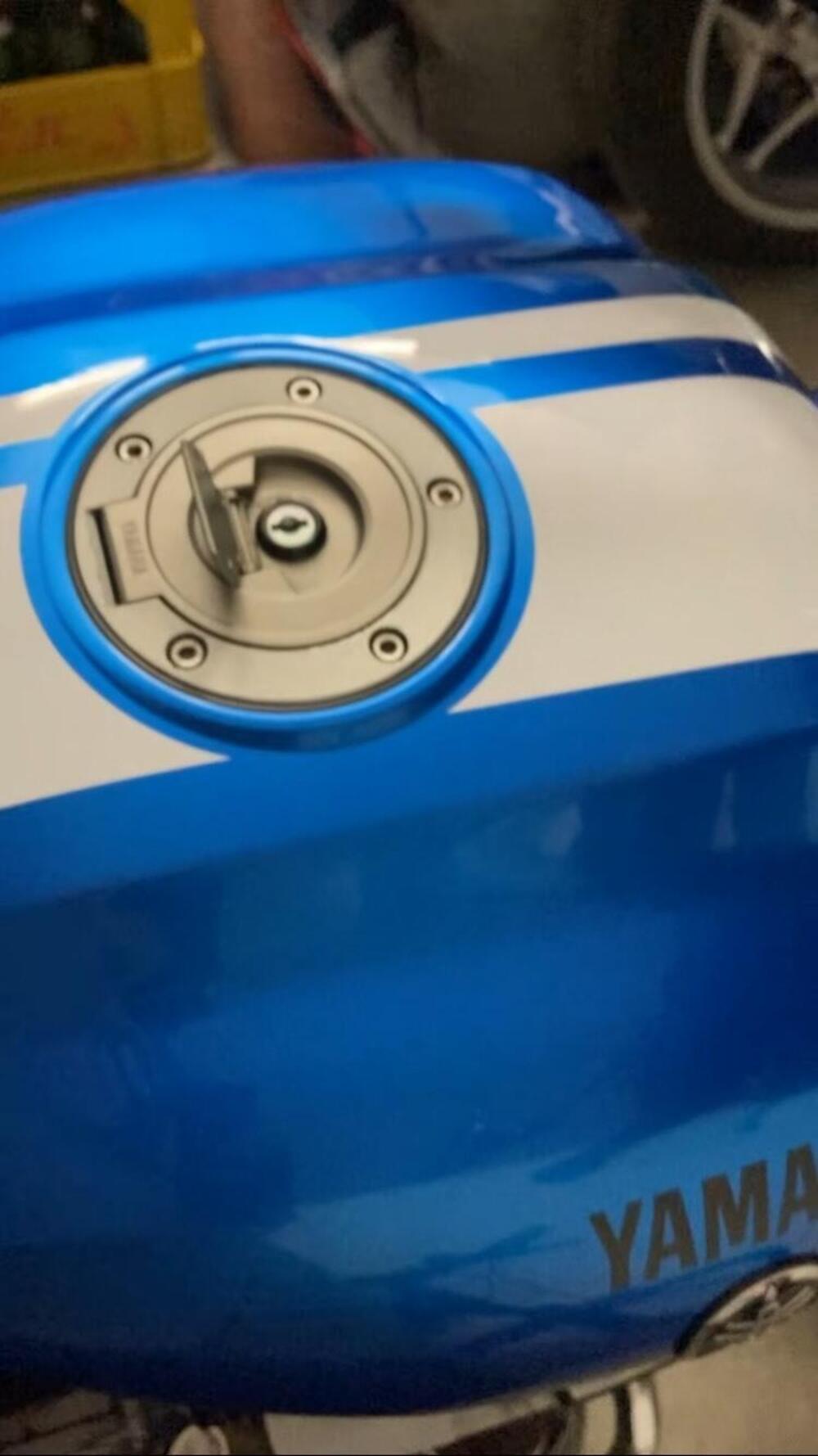 Yamaha XJR 1300 (2006 - 14) (19)