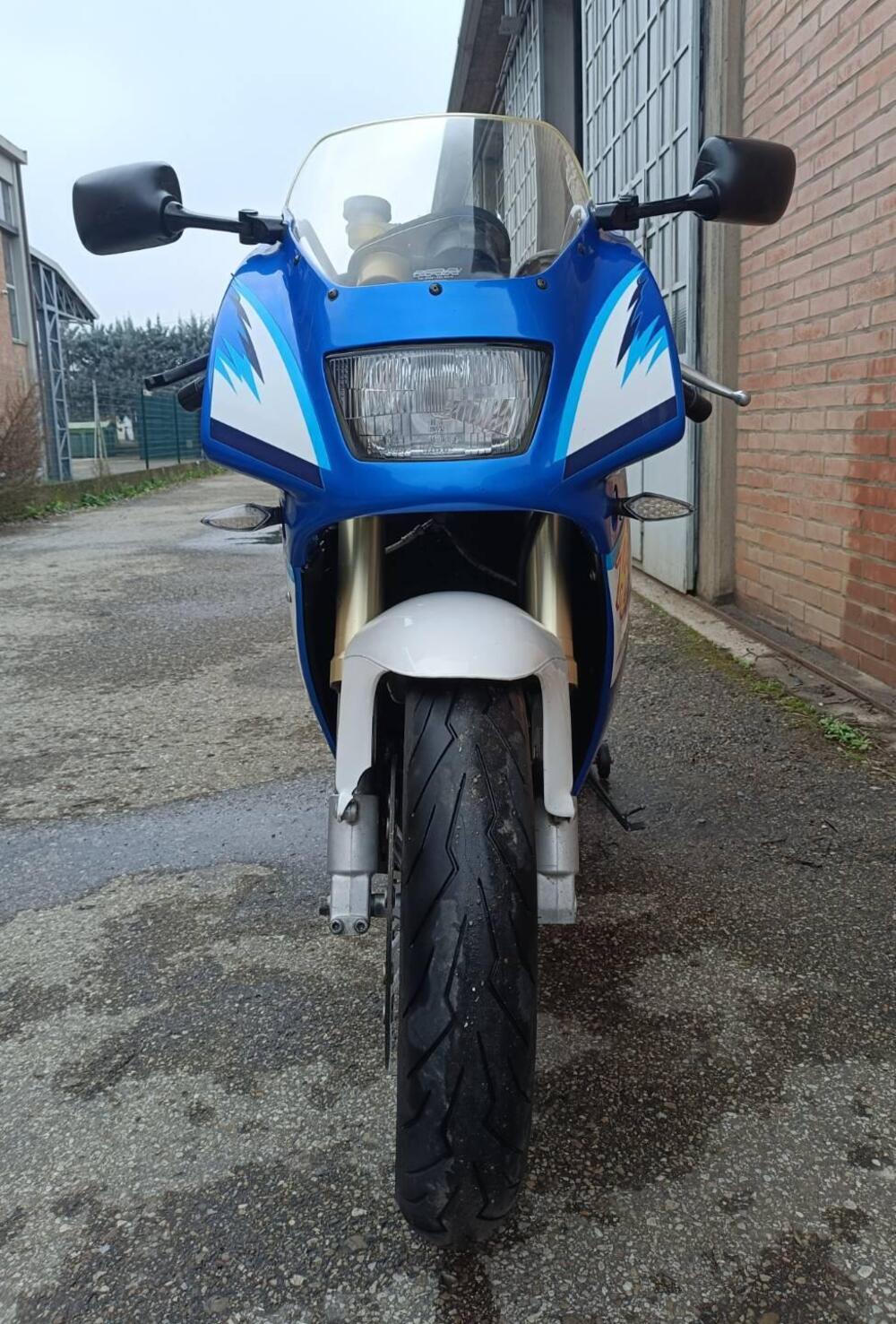 Suzuki RGV 250 (1989 - 97) (3)