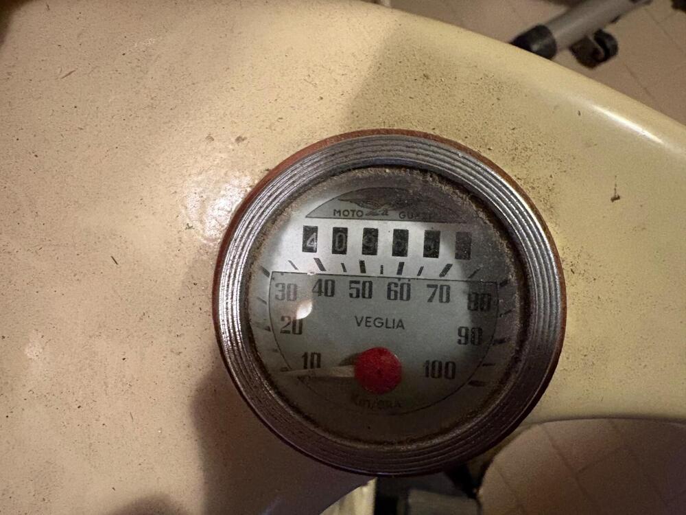 Moto Guzzi Galletto 192 (6)