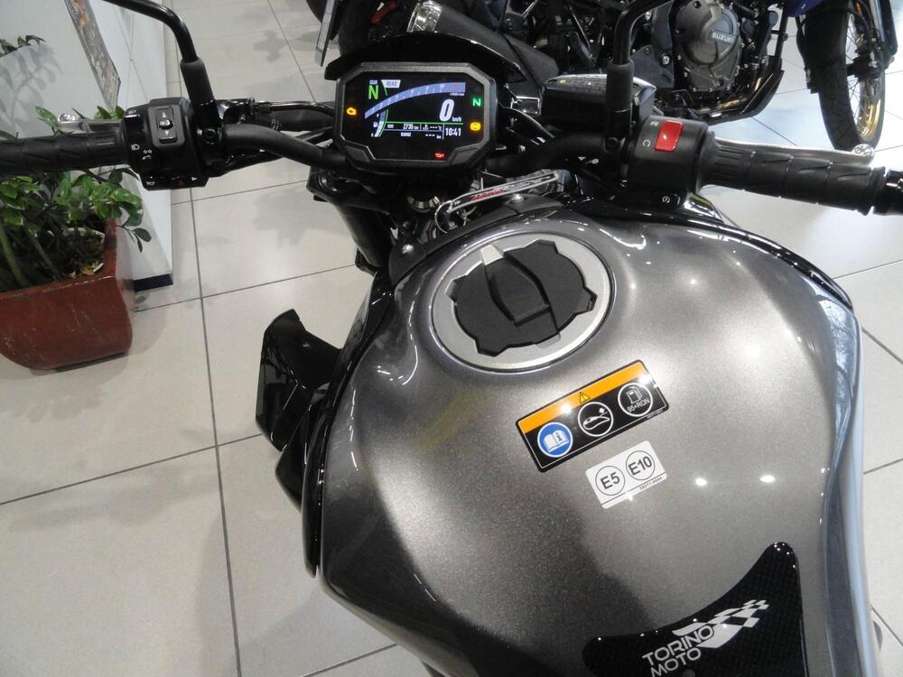 Kawasaki Z 900 (2021 - 24) (8)