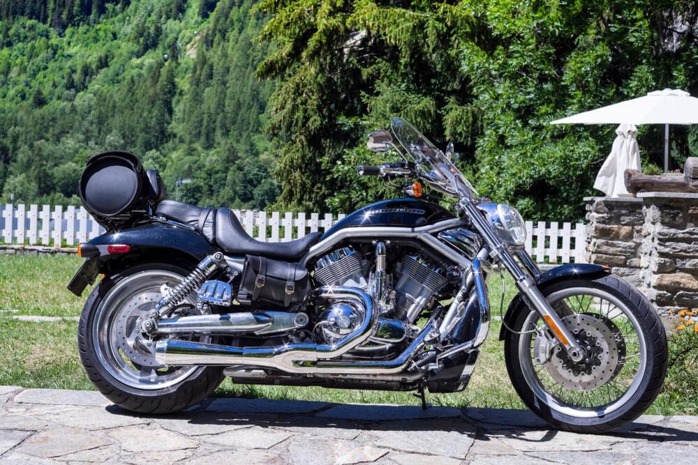 Harley-Davidson 1250 V-Rod (2008 - 12) - VRSCAW (4)