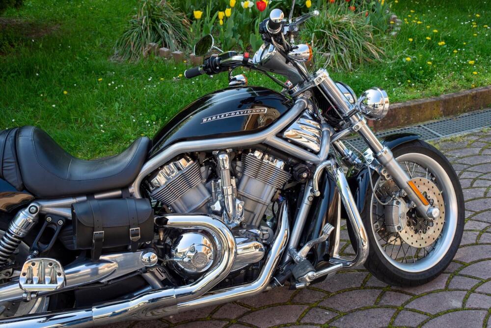 Harley-Davidson 1250 V-Rod (2008 - 12) - VRSCAW (5)