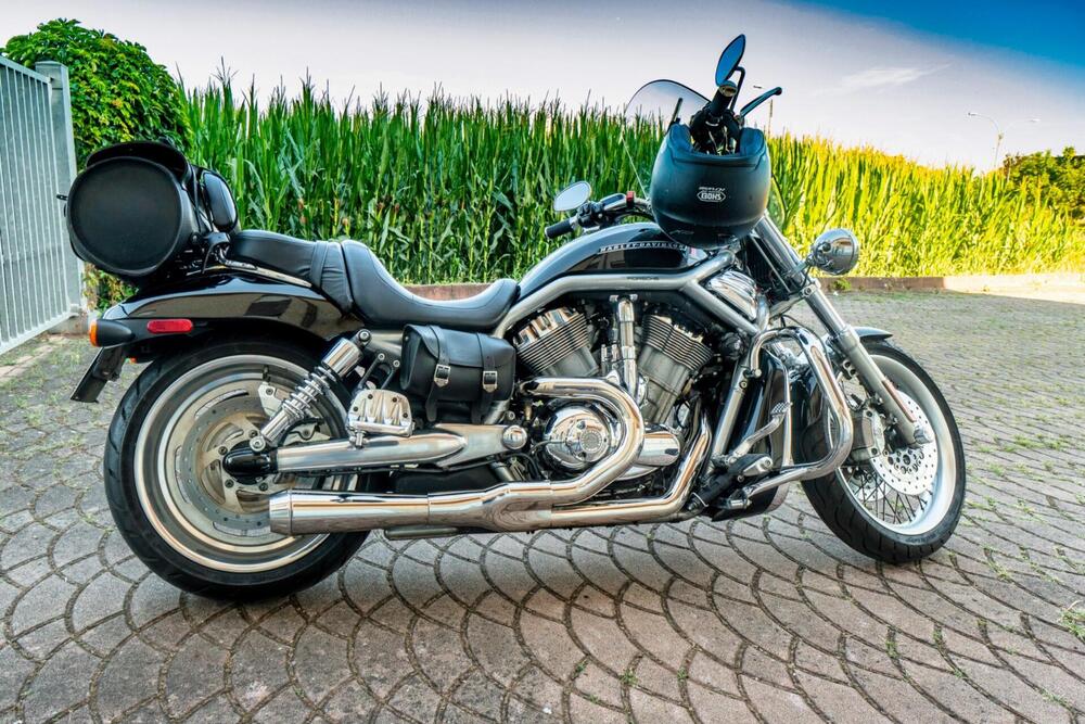 Harley-Davidson 1250 V-Rod (2008 - 12) - VRSCAW (6)