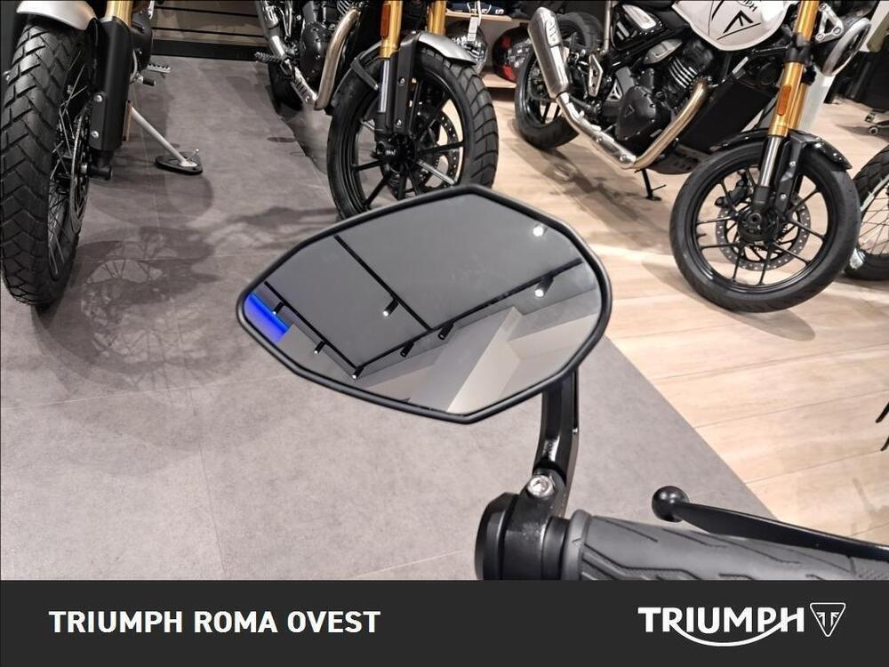 Suzuki GSX-8S (2023 - 24) (14)