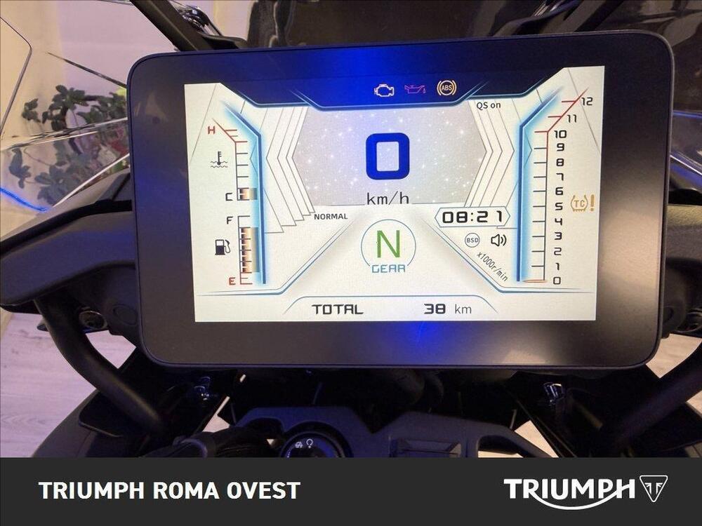 QJ Motor SRT 800 SX (2024 - 25) (5)