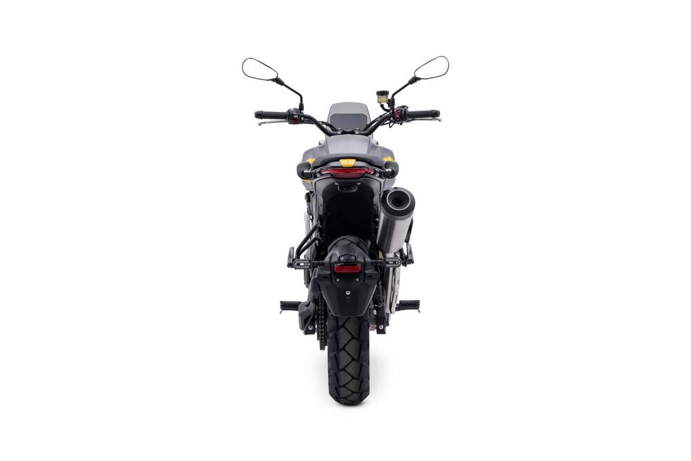 Voge Trofeo 525ACX Scrambler (2023 - 26) (3)