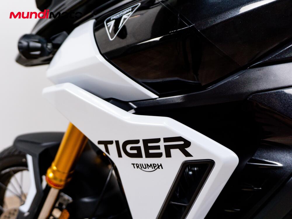 Triumph Tiger 900 Rally Pro (2024 - 26) (13)