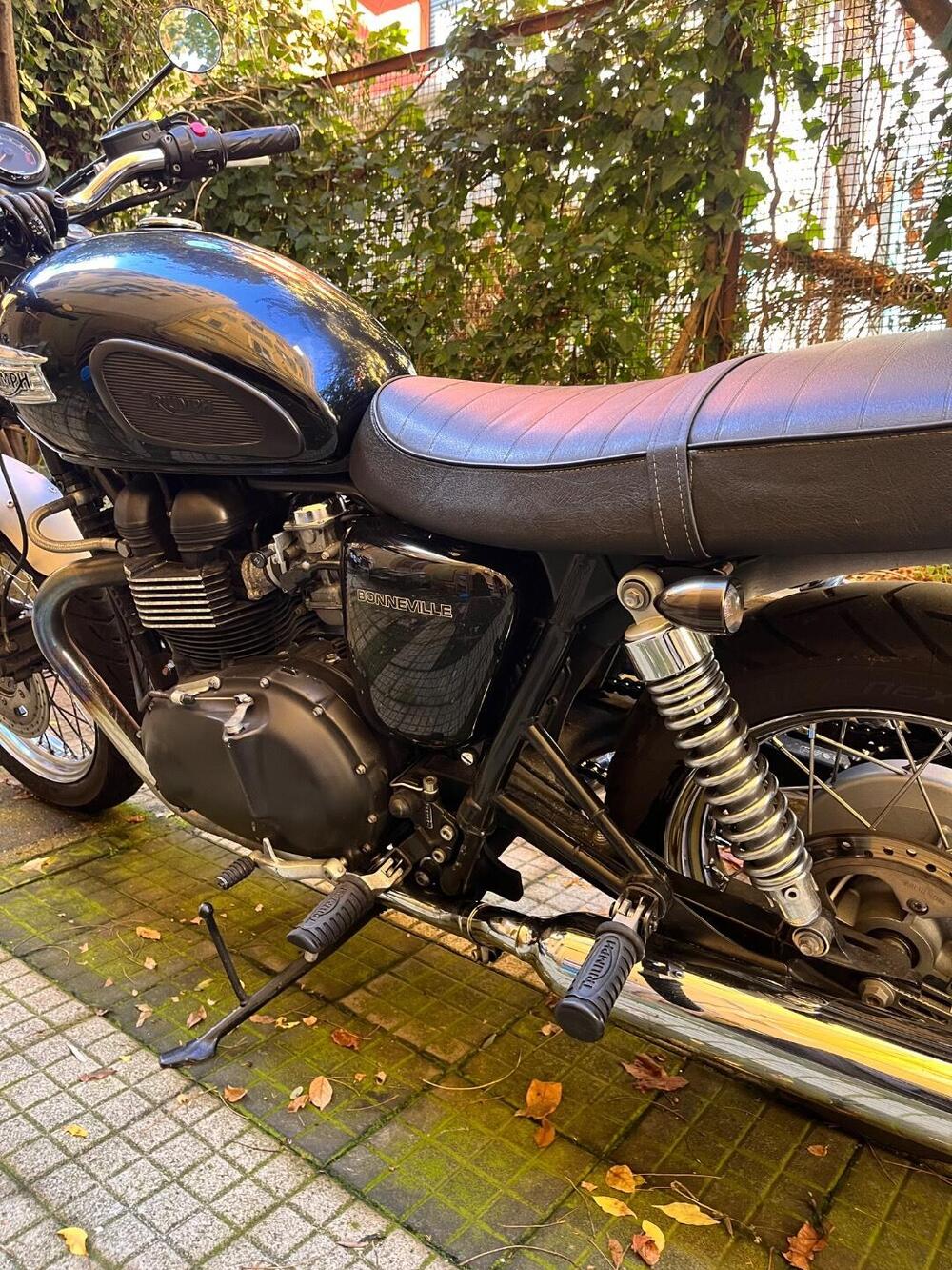 Triumph Bonneville (2007 - 16) (6)