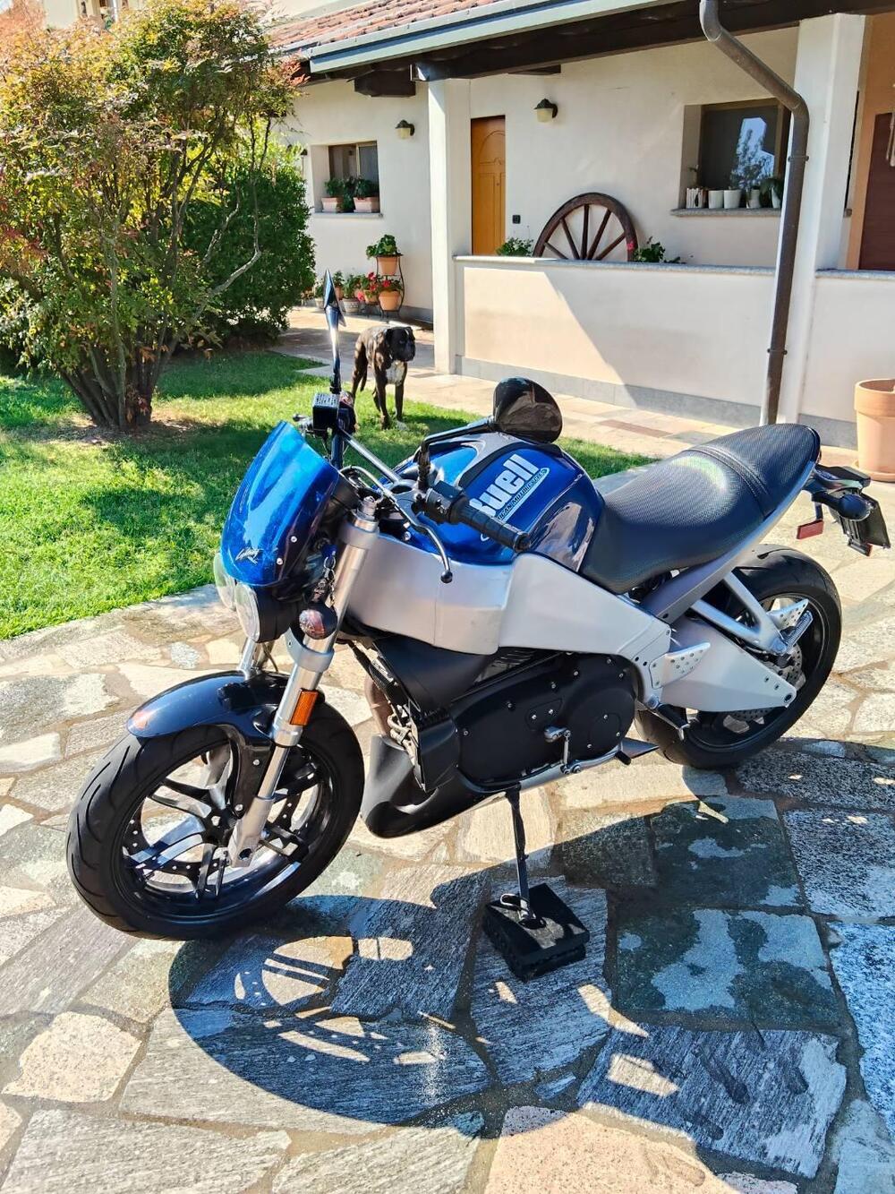 Buell Lightning XB 9S (3)