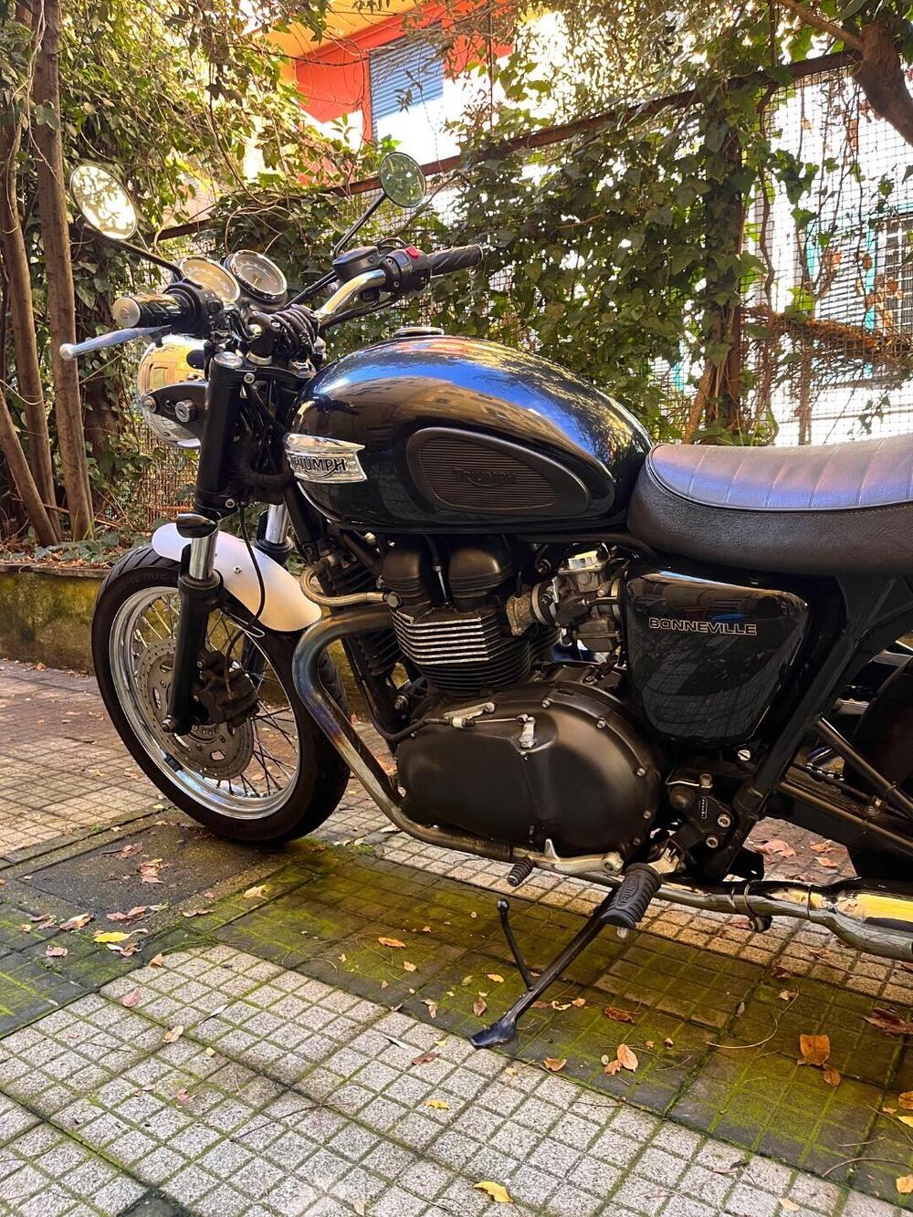 Triumph Bonneville (2007 - 16) (7)