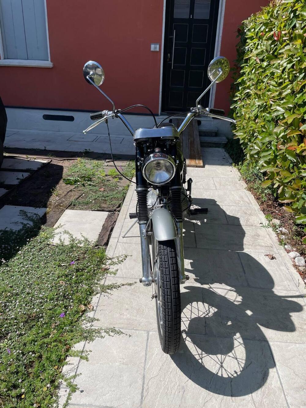 Aermacchi Harley-Davidson Ala Blu 250 (3)