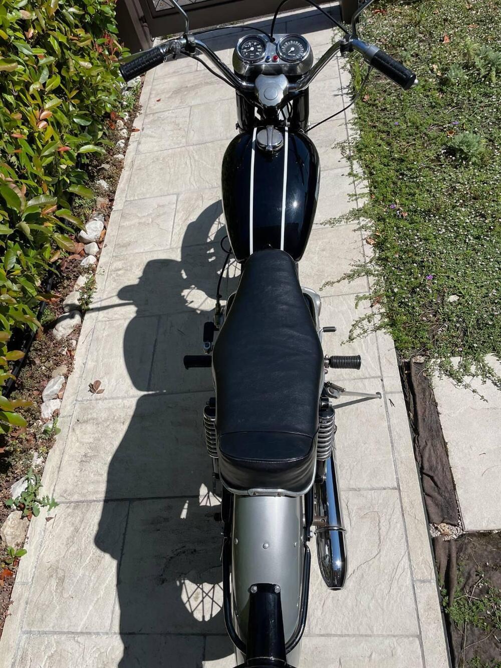 Aermacchi Harley-Davidson Ala Blu 250 (5)