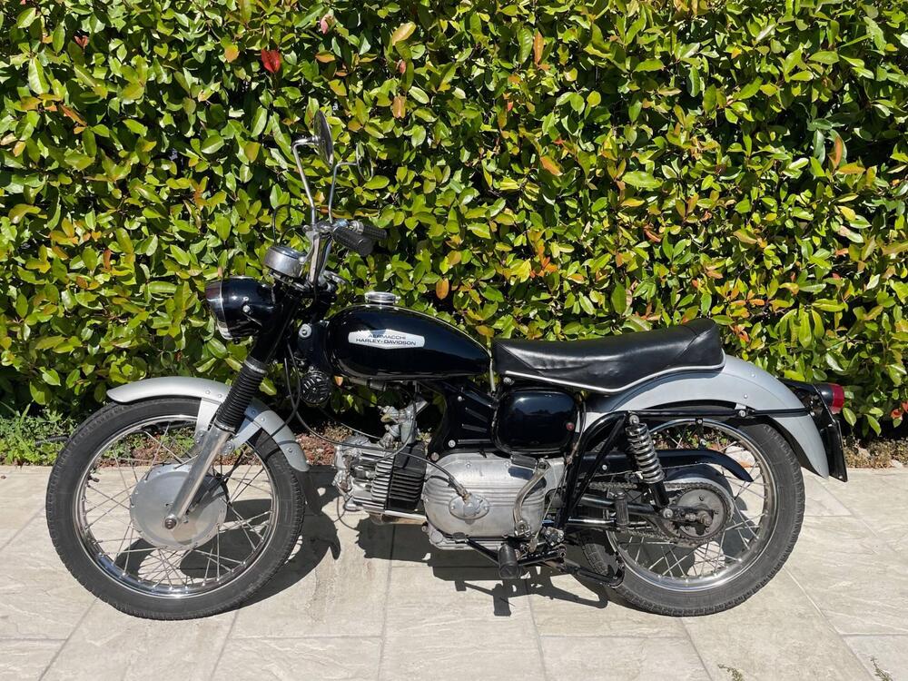 Aermacchi Harley-Davidson Ala Blu 250 (6)