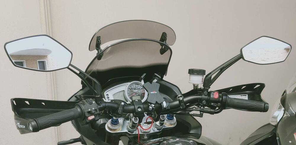 Triumph Tiger 1050 (2006 - 12) (5)