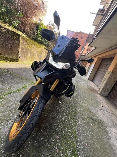 Voge Valico 900DSX (2024 - 26) usata