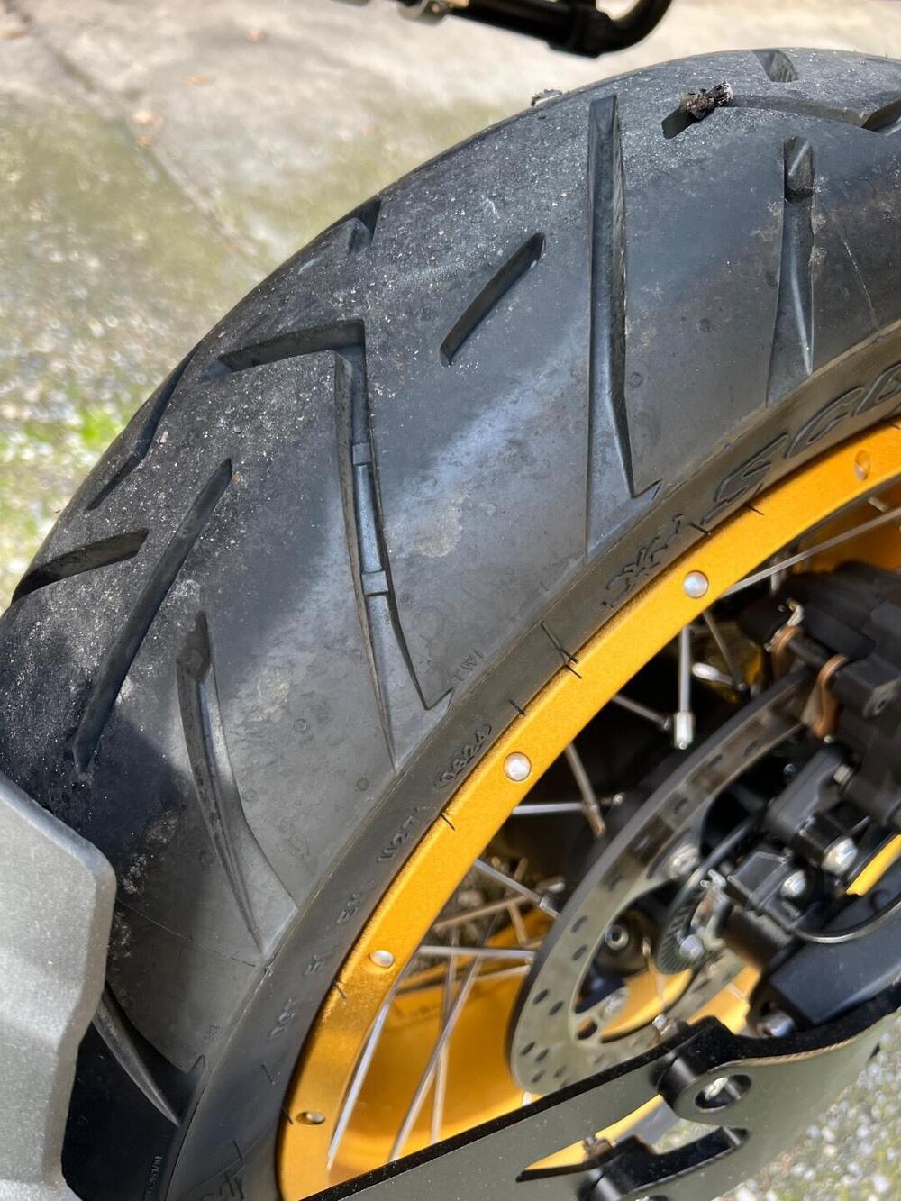 Voge Valico 900DSX (2024 - 26) (8)