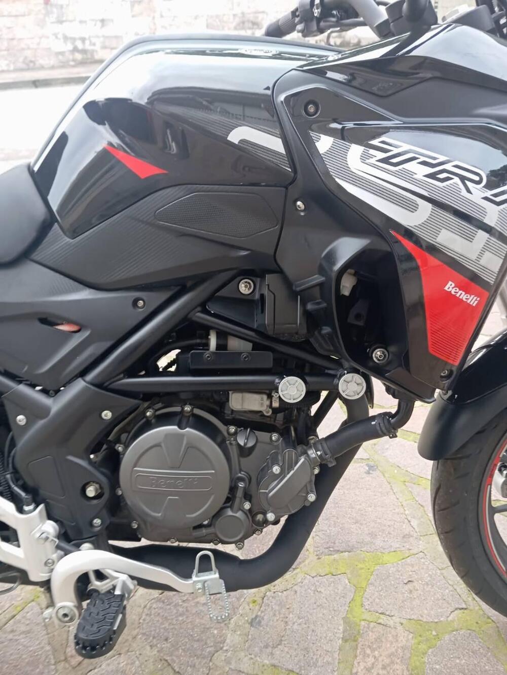Benelli TRK 251 (2022 - 25) (6)