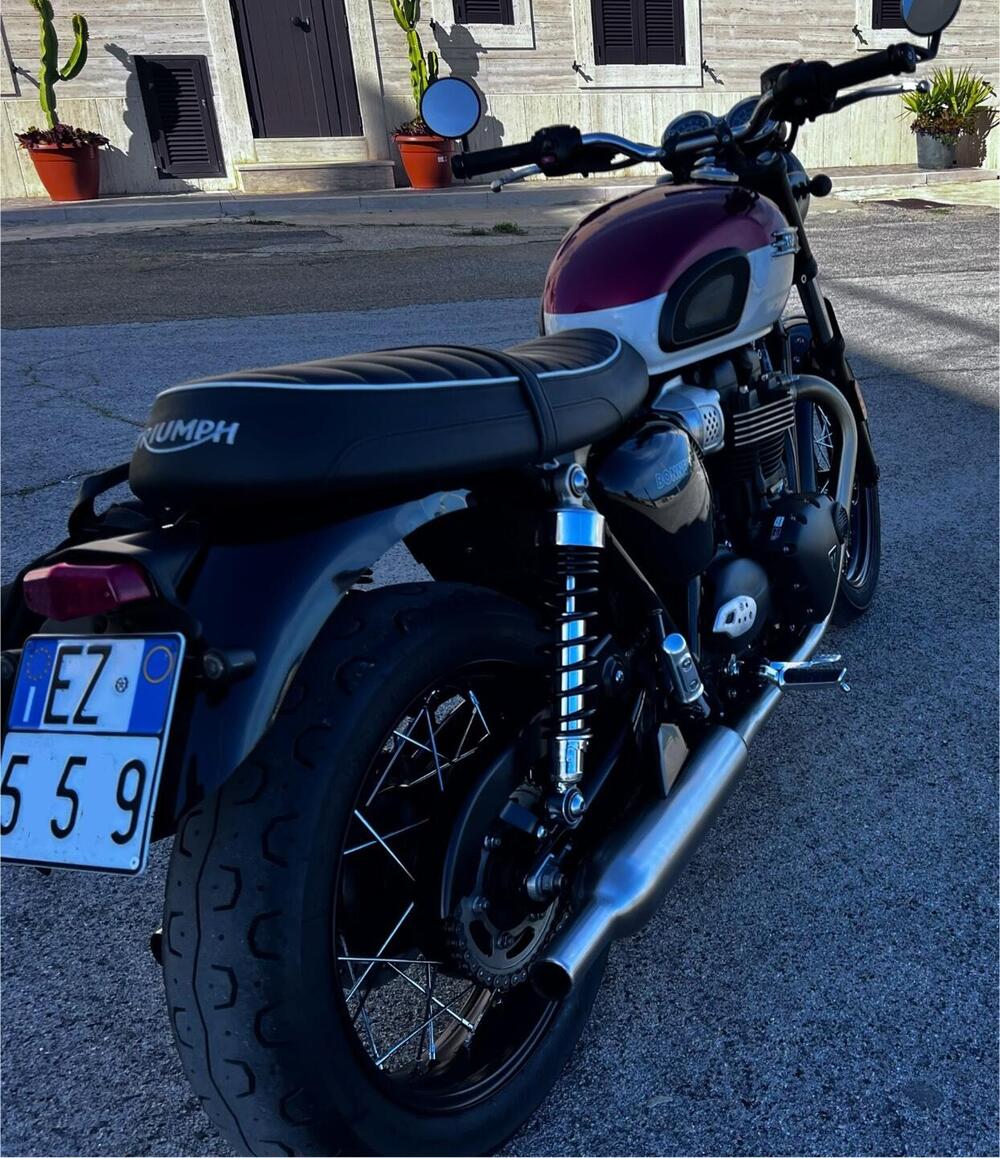 Triumph Bonneville T100 (2021 - 25) (2)