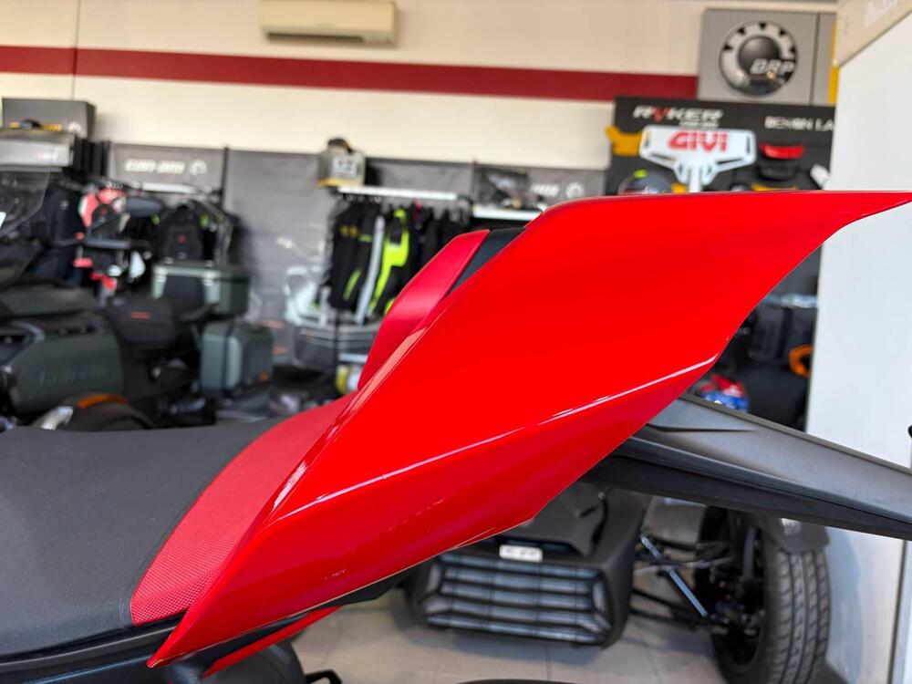 Ducati Panigale V4 S (2022 - 24) (9)