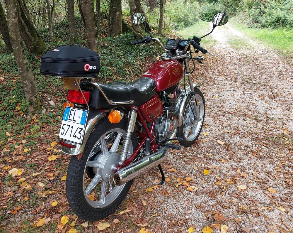 Gilera TG3 - 125 CUSTOM (7)