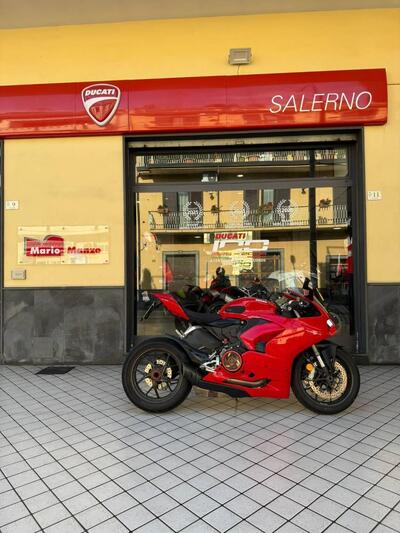 Ducati Panigale V2 955 (2020) usata