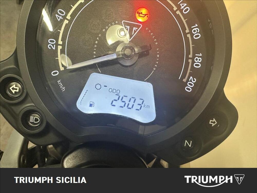 Triumph Speed Twin 900 (2023 - 24) (13)