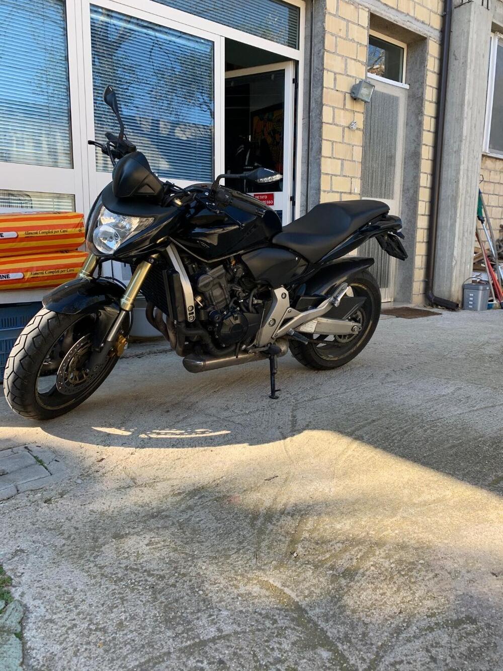 Honda Hornet 600 (2007 - 10)