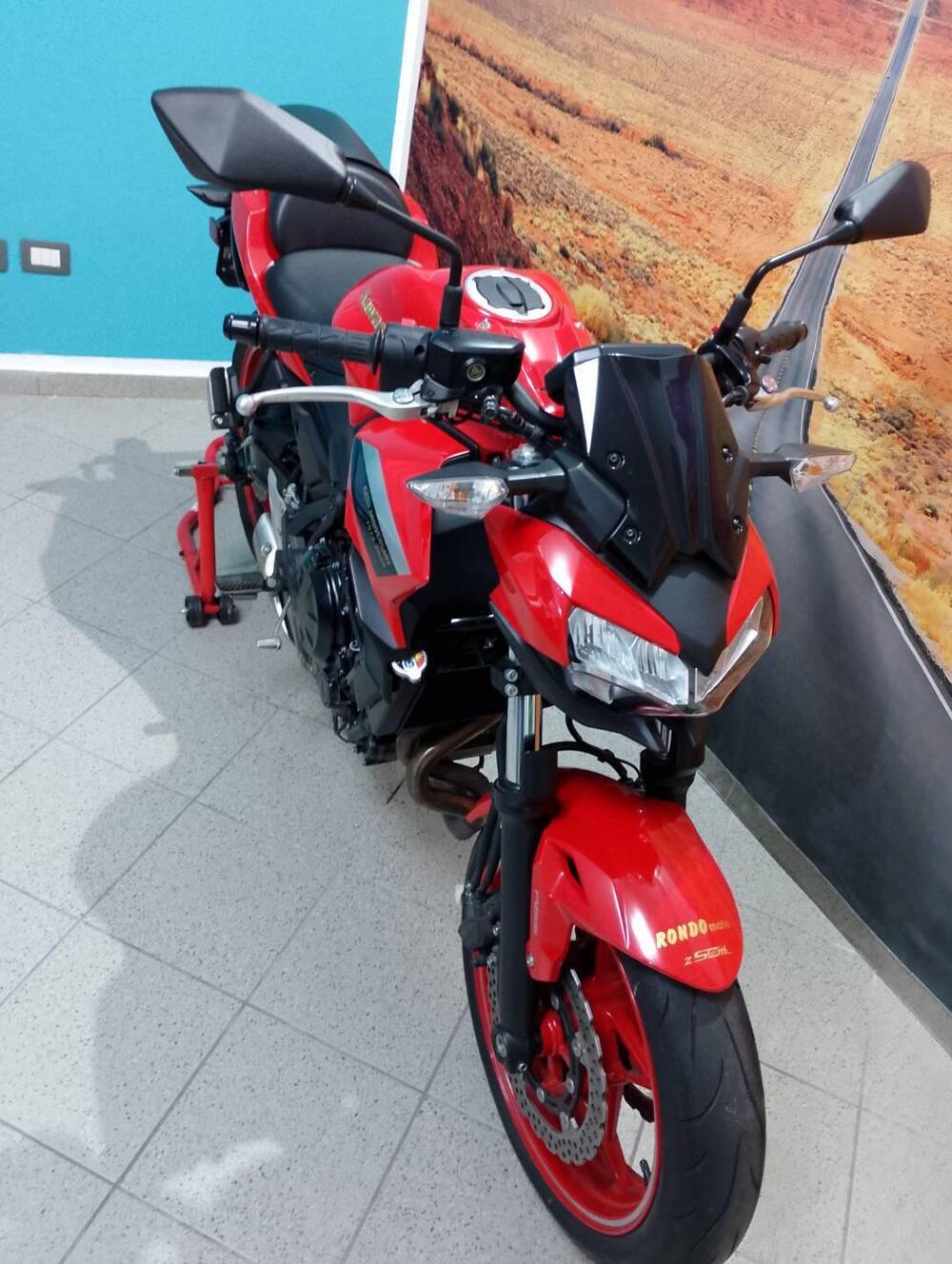 Kawasaki Z 650 50th Anniversary (2022 - 23) (4)