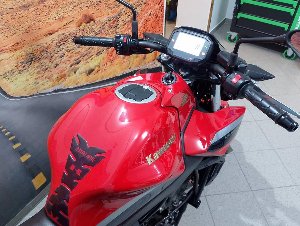Kawasaki Z 650 50th Anniversary (2022 - 23) (6)