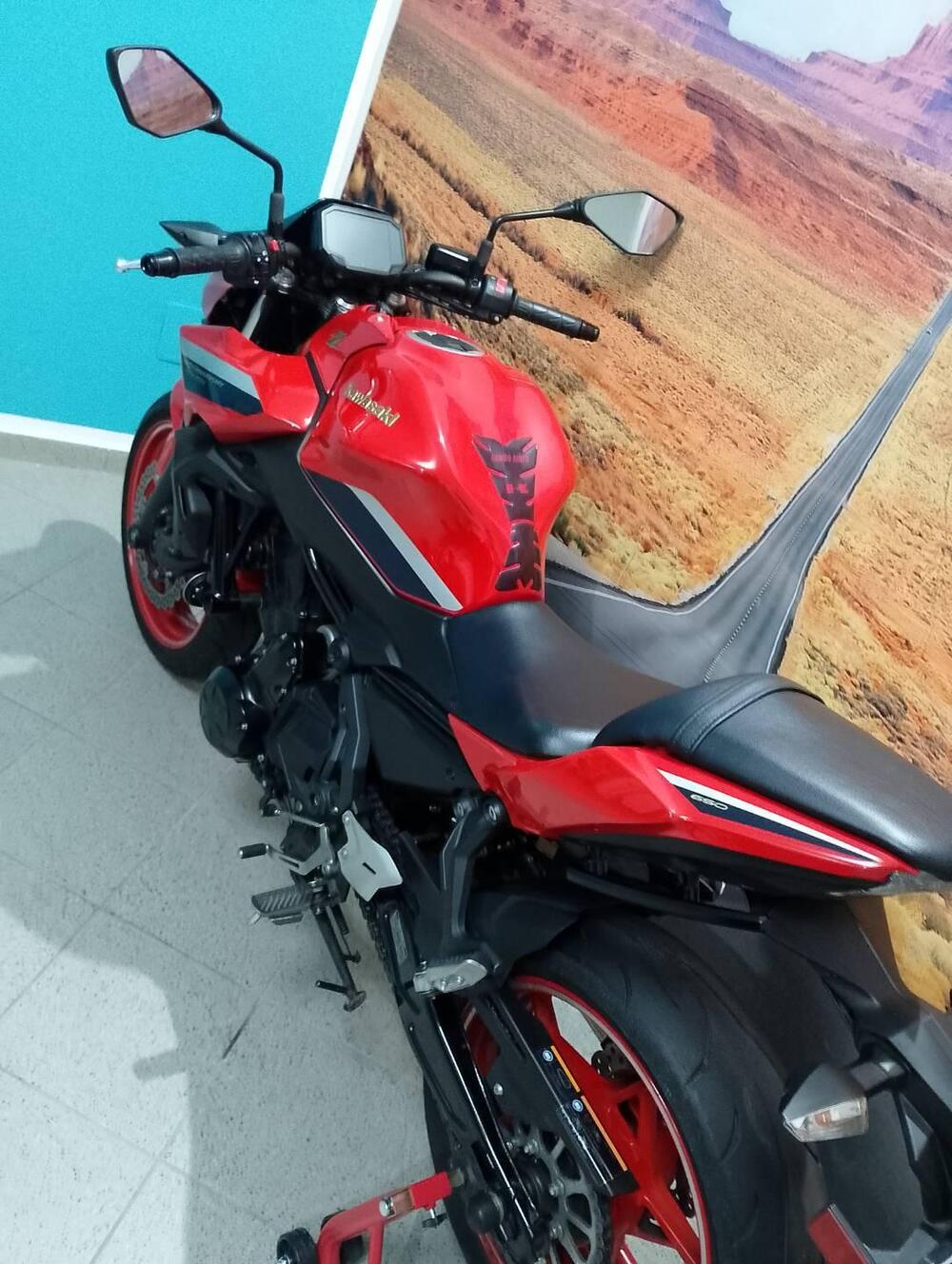 Kawasaki Z 650 50th Anniversary (2022 - 23) (11)