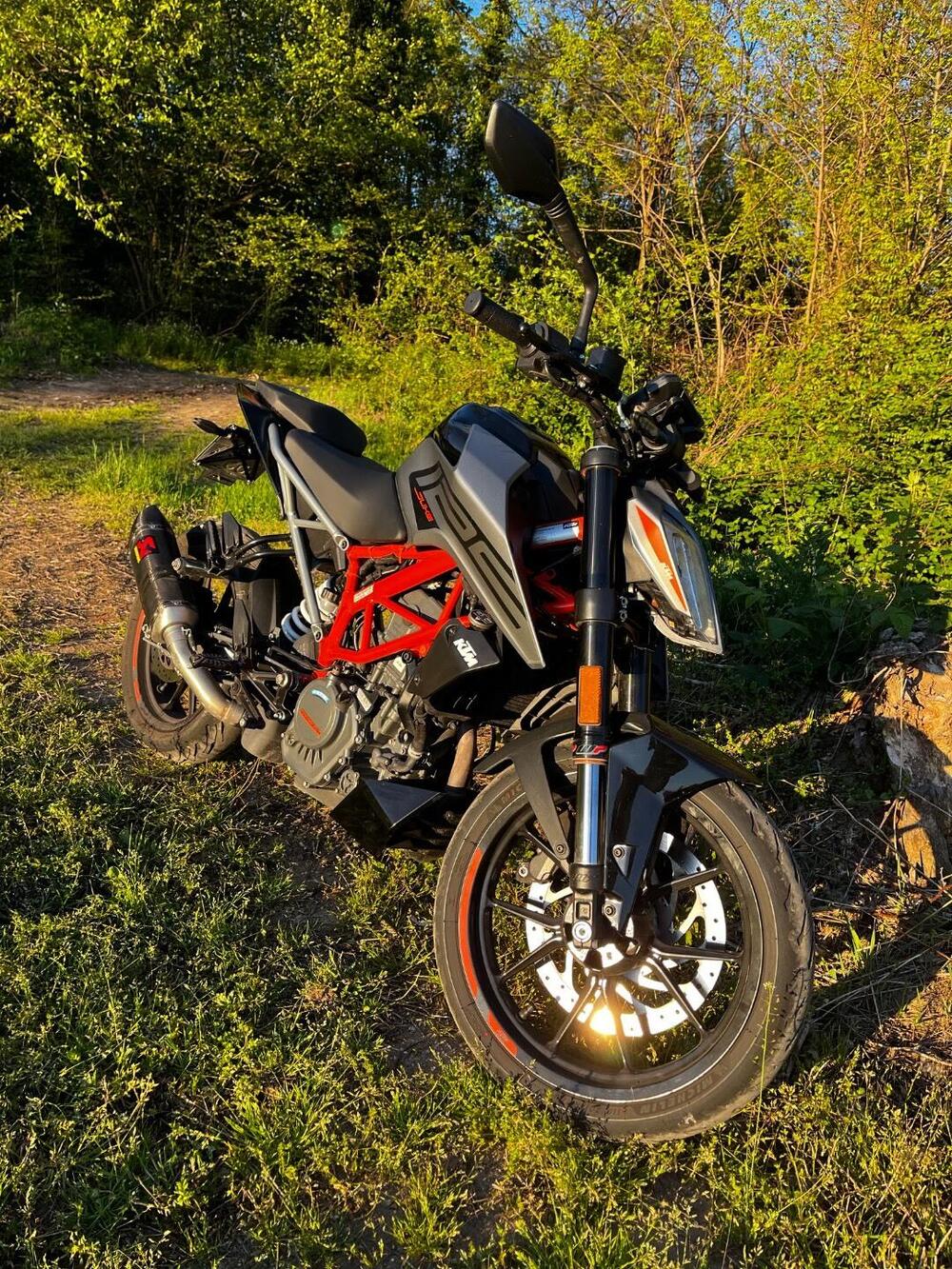 KTM 125 Duke (2024 - 25) (6)