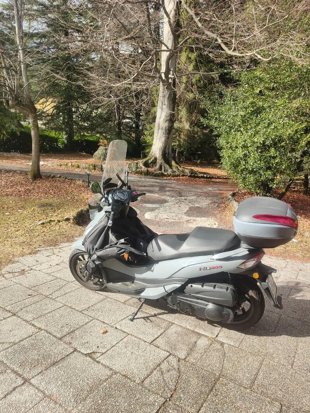 Sym HD 300 (2021 - 25) (4)