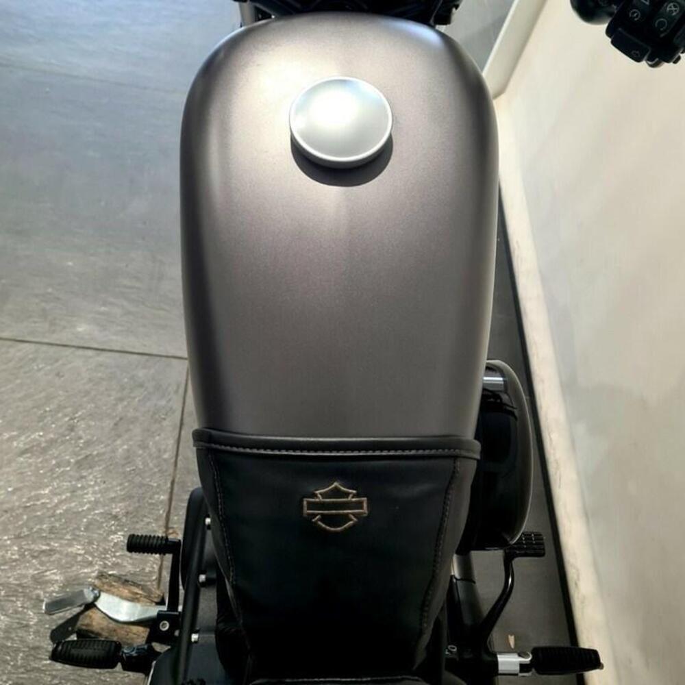 Harley-Davidson 883 Iron (2017 - 20) - XL 883N (6)