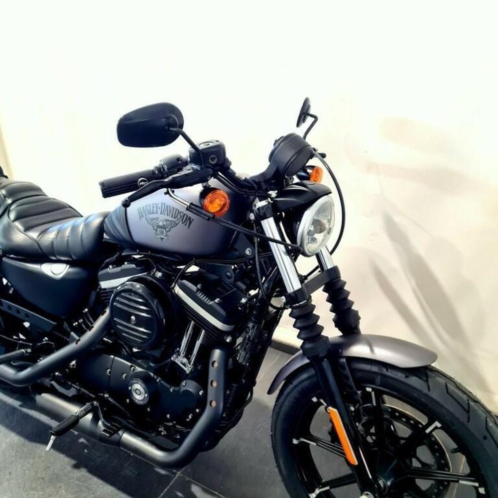 Harley-Davidson 883 Iron (2017 - 20) - XL 883N (15)