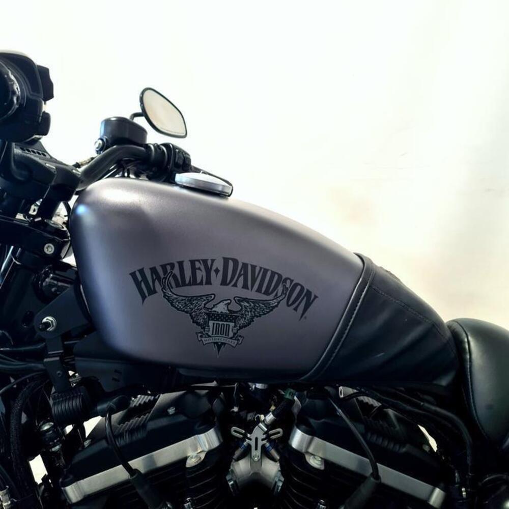 Harley-Davidson 883 Iron (2017 - 20) - XL 883N (9)