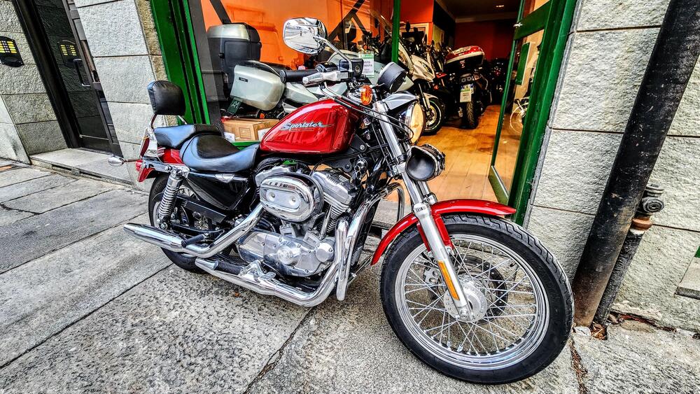 Harley-Davidson 883 Custom (2006 - 07) - XL 883C (7)