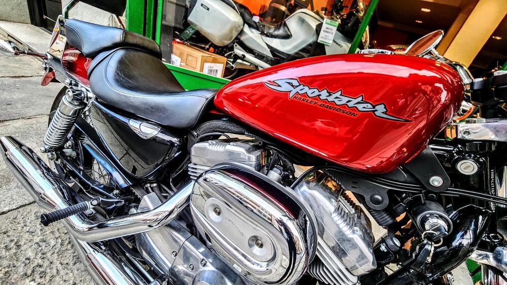 Harley-Davidson 883 Custom (2006 - 07) - XL 883C (8)