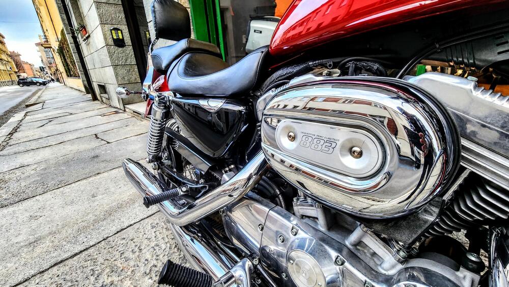 Harley-Davidson 883 Custom (2006 - 07) - XL 883C (9)