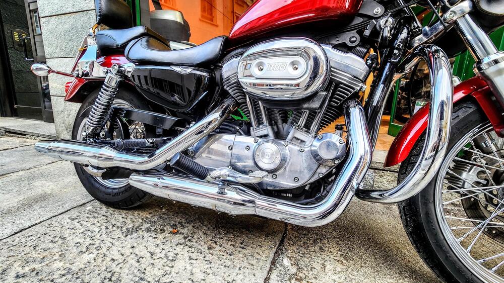 Harley-Davidson 883 Custom (2006 - 07) - XL 883C (14)