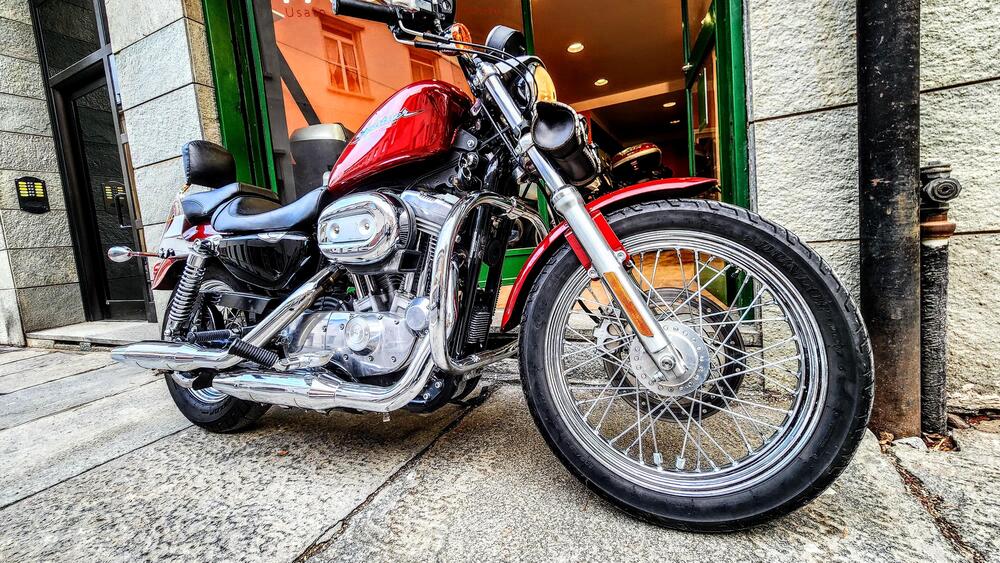 Harley-Davidson 883 Custom (2006 - 07) - XL 883C (15)