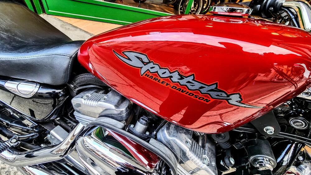 Harley-Davidson 883 Custom (2006 - 07) - XL 883C (19)