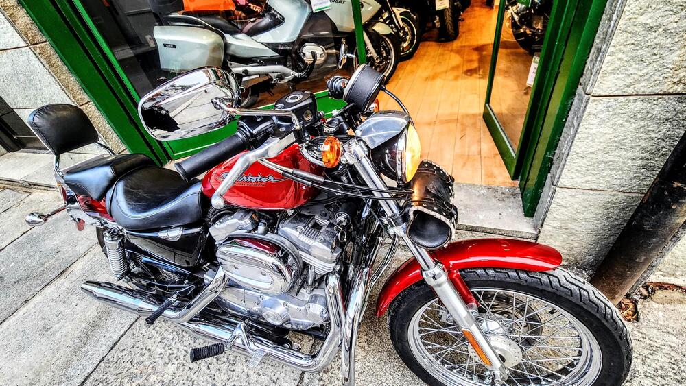 Harley-Davidson 883 Custom (2006 - 07) - XL 883C (20)