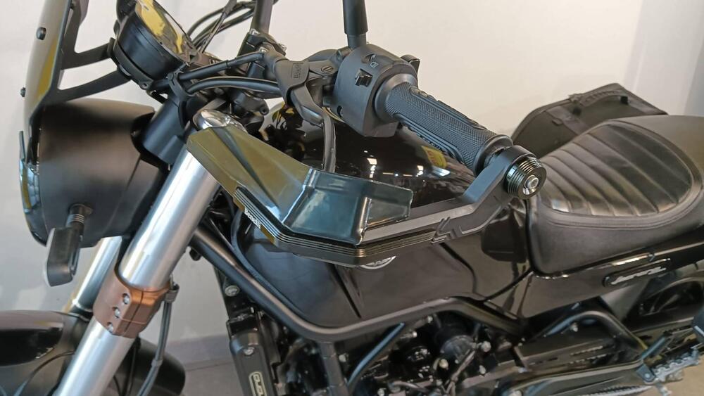 Benelli Leoncino 500 (2021 - 25) (10)