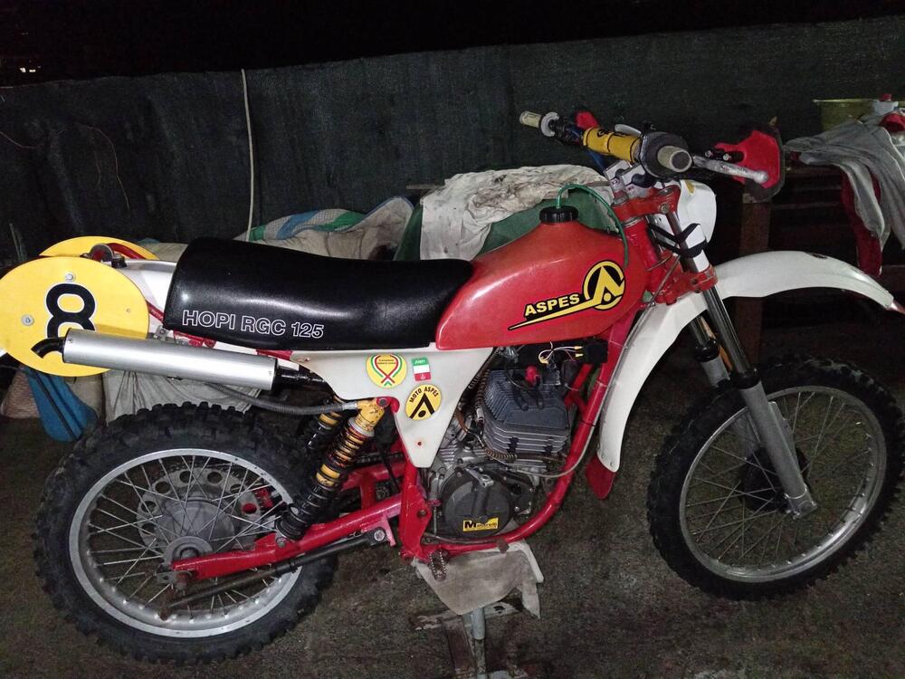 Aspes hopi 125 (3)