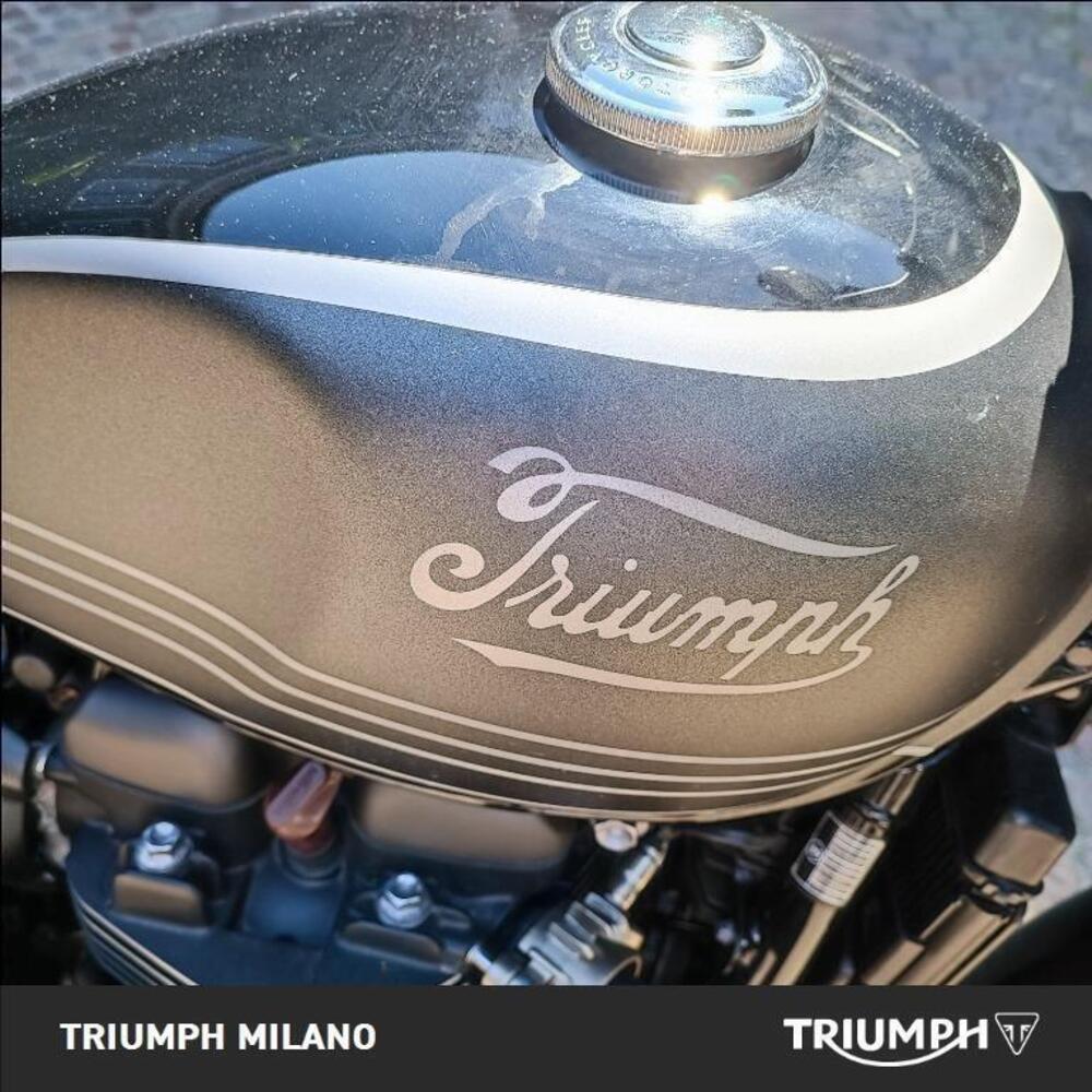 Triumph Street Scrambler 900 (2021 - 22) (4)