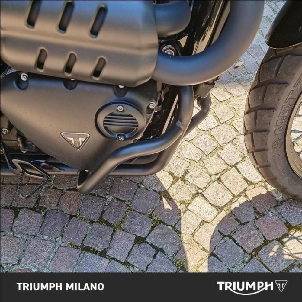 Triumph Street Scrambler 900 (2021 - 22) (6)