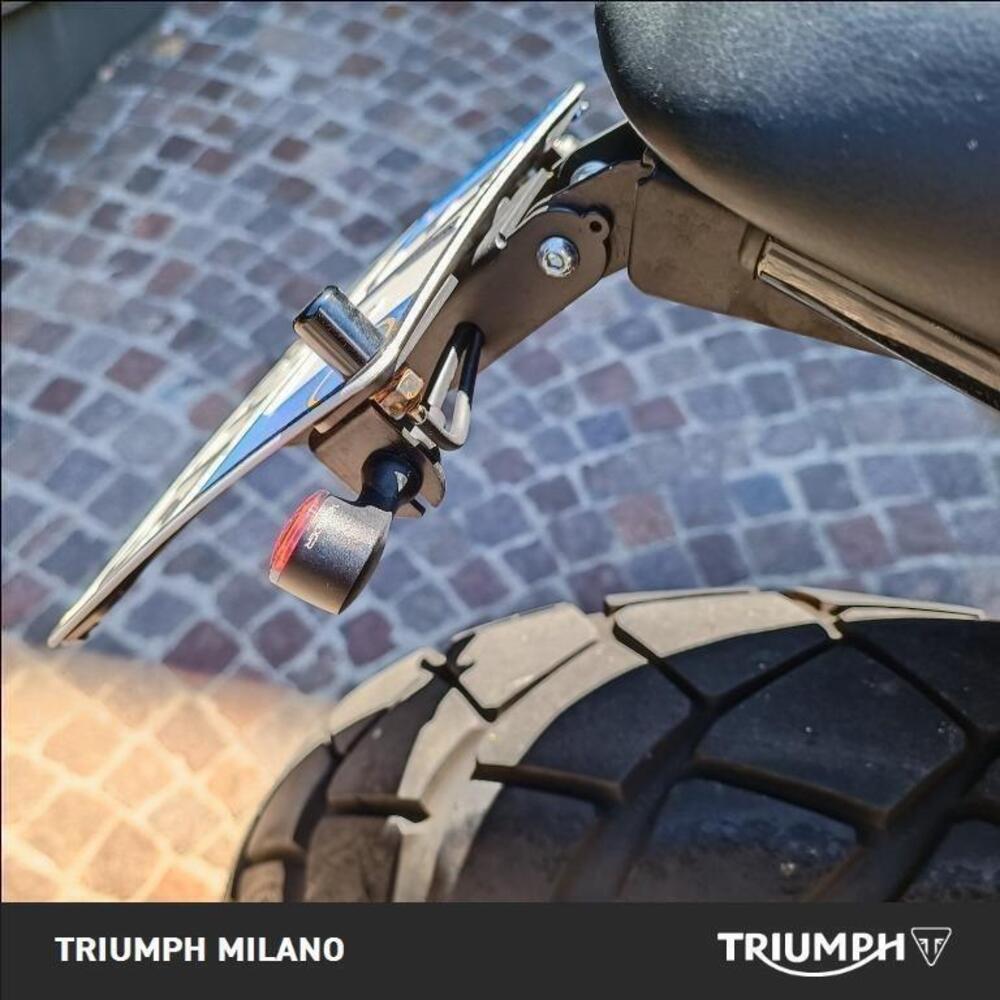 Triumph Street Scrambler 900 (2021 - 22) (3)