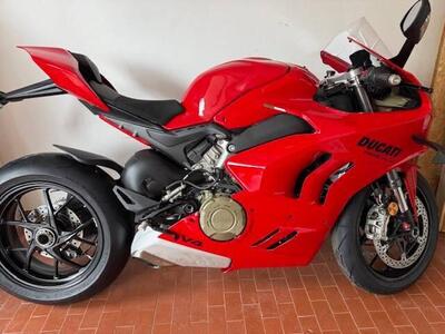 Ducati Panigale V4 (2022 - 24) usata